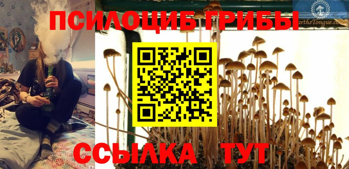 Псилоцибиновые грибы прущие грибы Кемерово