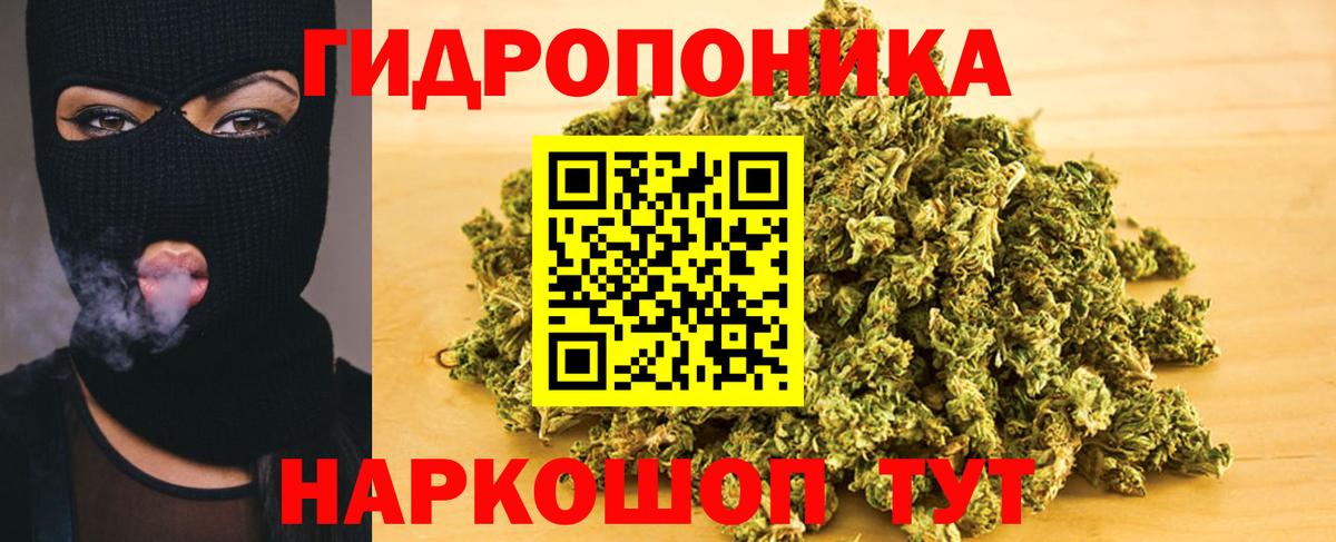 Шишки марихуана сатива  Бошки марихуана план  Канабис Bruce Banner  МАРИХУАНА White Widow  Кемерово  Вход с VPN 